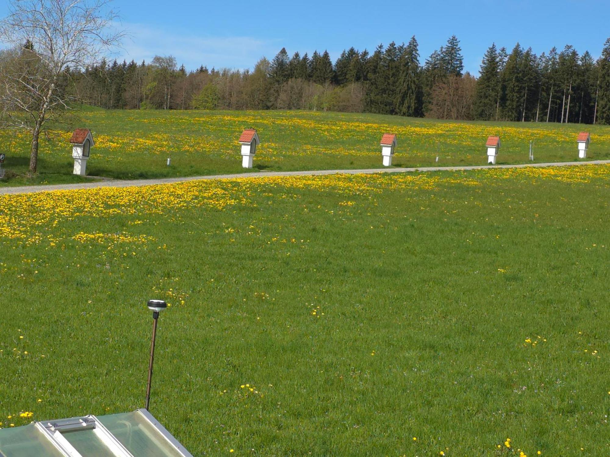 Alpenblick Apartment Leutkirch im Allgau Ruang foto